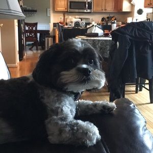 Meet your Posher, Amy